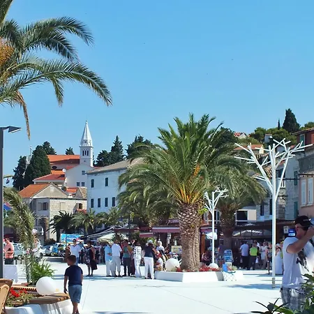 Jerkunica *